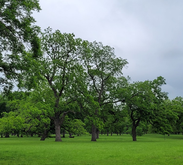 Berry Springs Park and Preserve (Georgetown,&nbspTX)